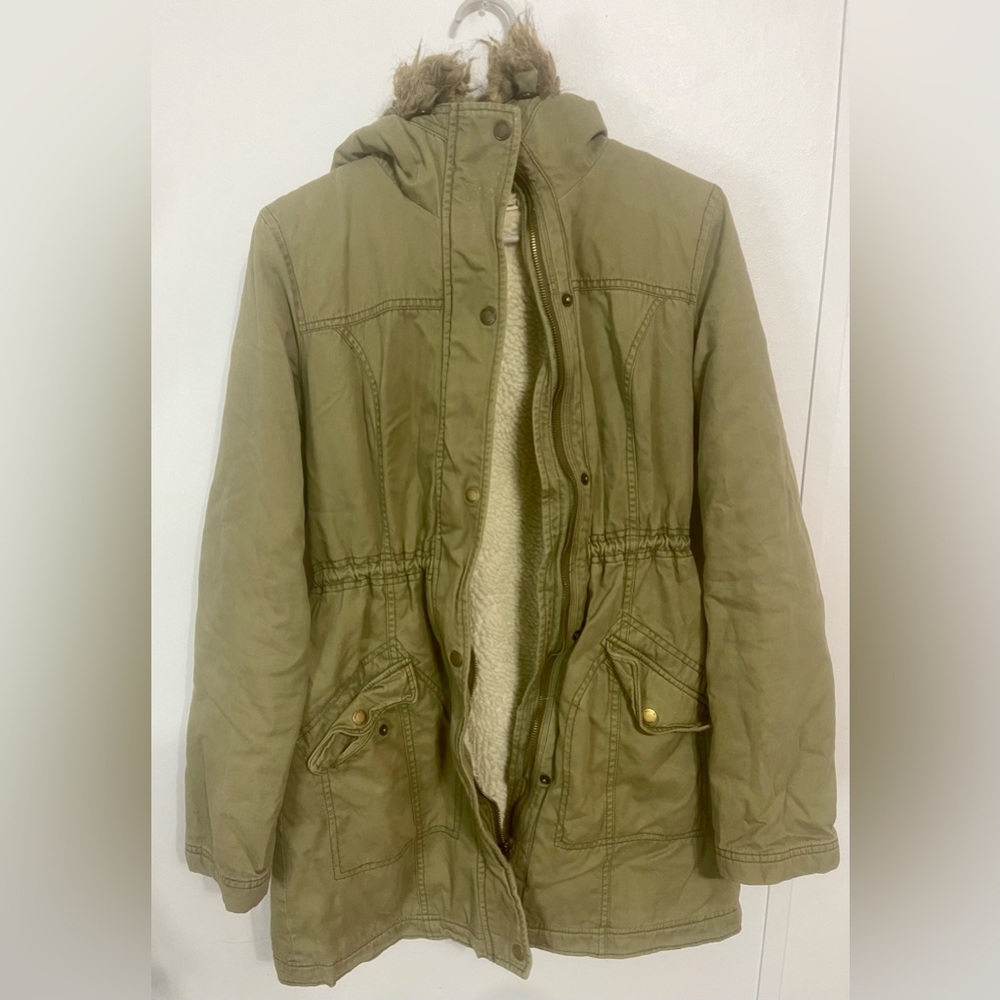 Hollister Winter Jacket